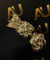  9ct Gold Filled Rings | Au Jewellers