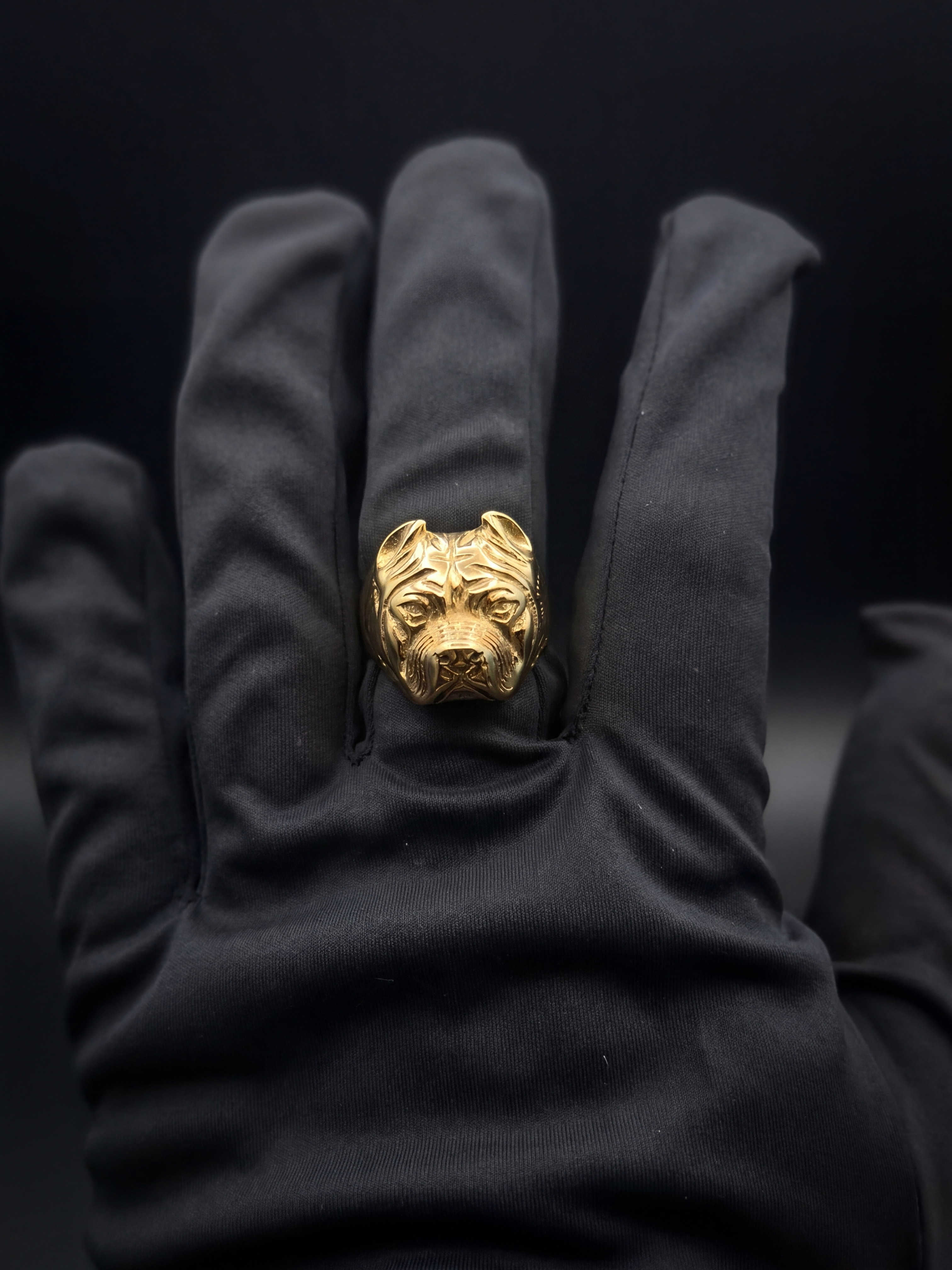 9ct Gold Filled Pitbull Ring
